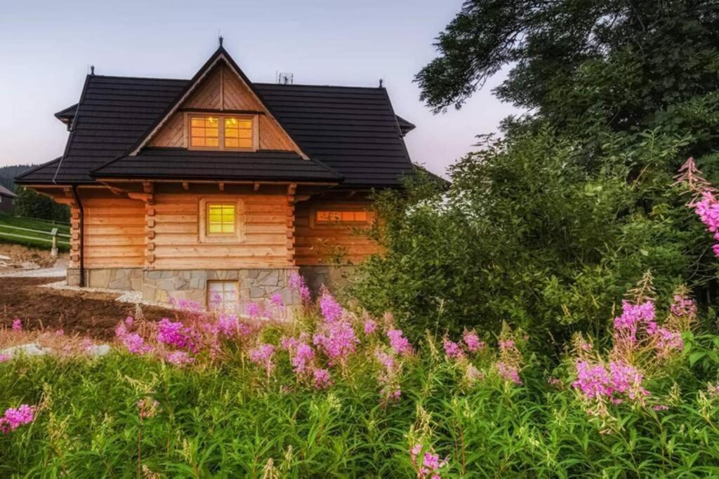Willa Pitoniowka Z Sauna, Netflix Oraz Xbox One Koscielisko Luaran gambar